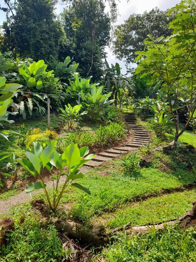 Drakes Bay Hostel Osa Tucan Drake المظهر الخارجي الصورة