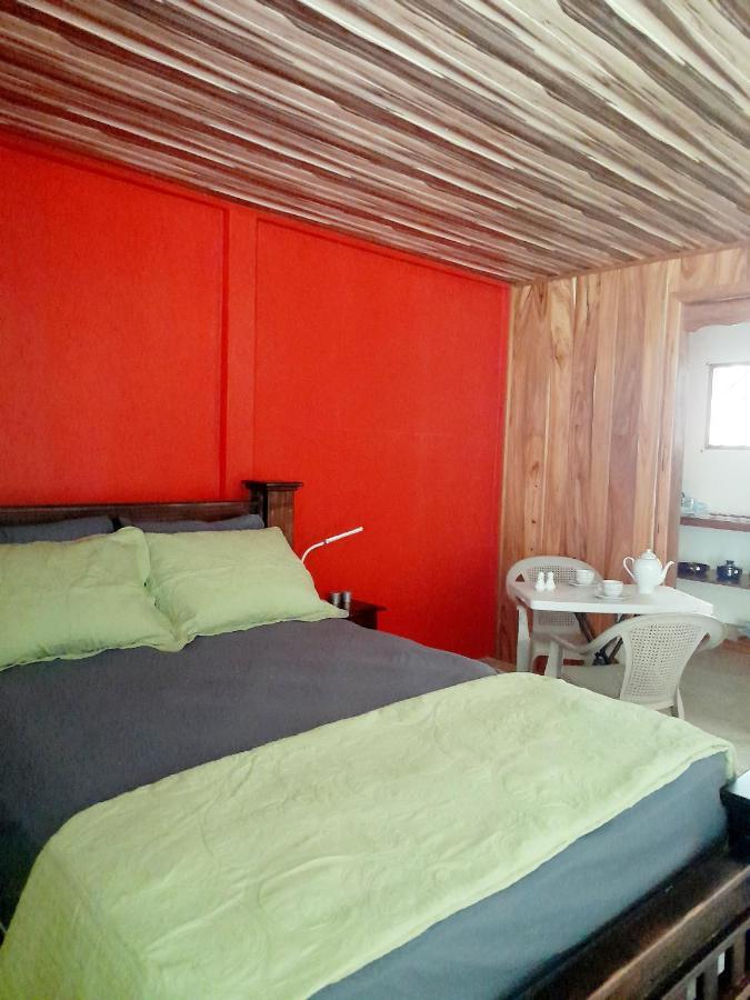 Drakes Bay Hostel Osa Tucan Drake الغرفة الصورة