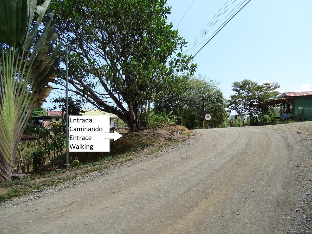 Drakes Bay Hostel Osa Tucan Drake المظهر الخارجي الصورة