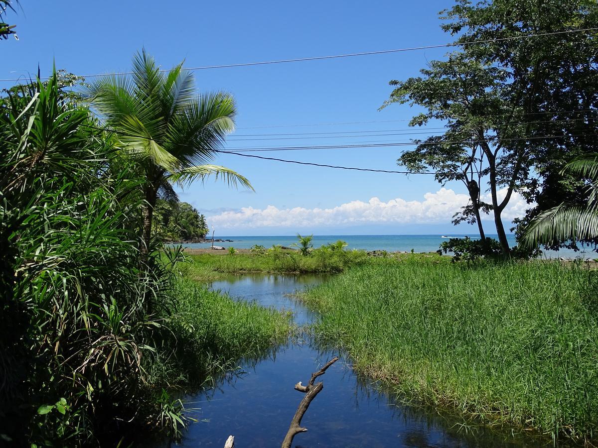 Drakes Bay Hostel Osa Tucan Drake المظهر الخارجي الصورة