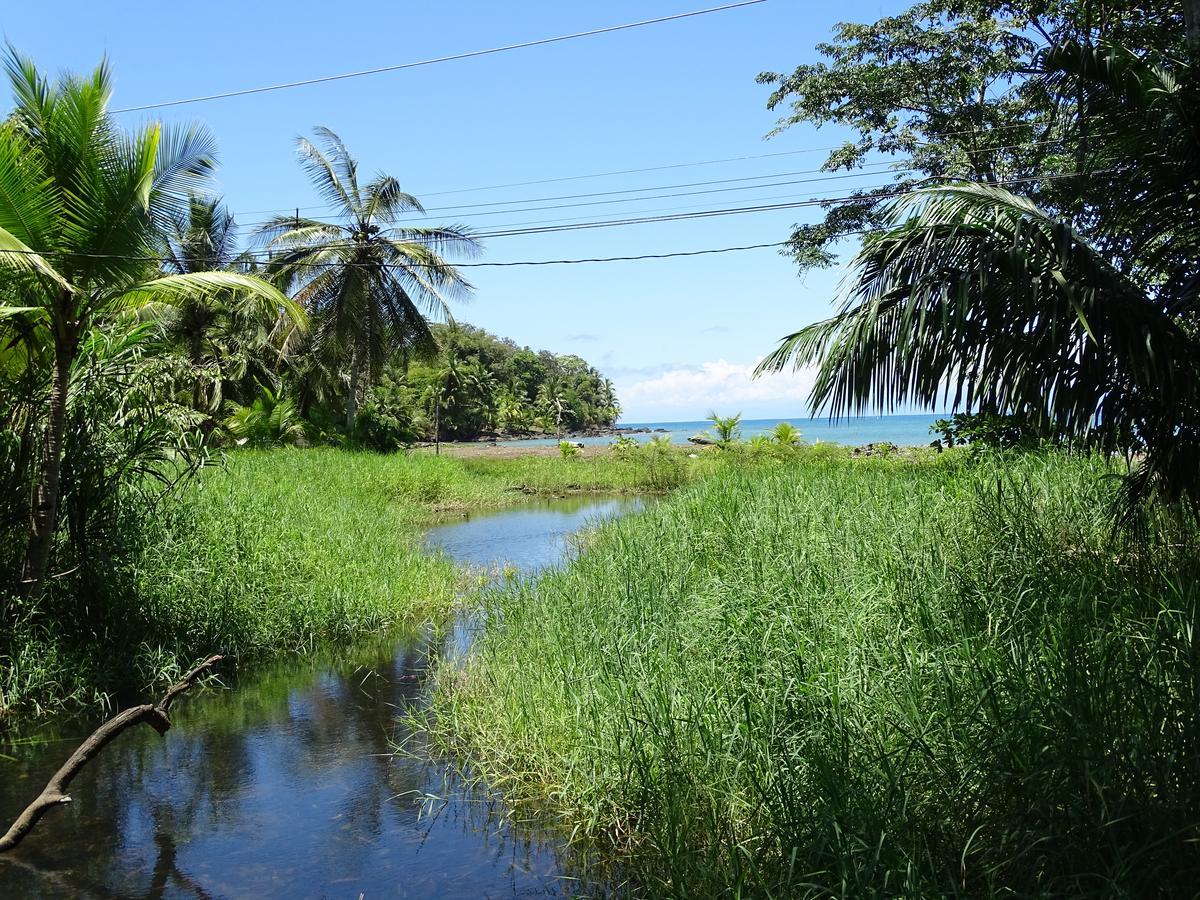 Drakes Bay Hostel Osa Tucan Drake المظهر الخارجي الصورة