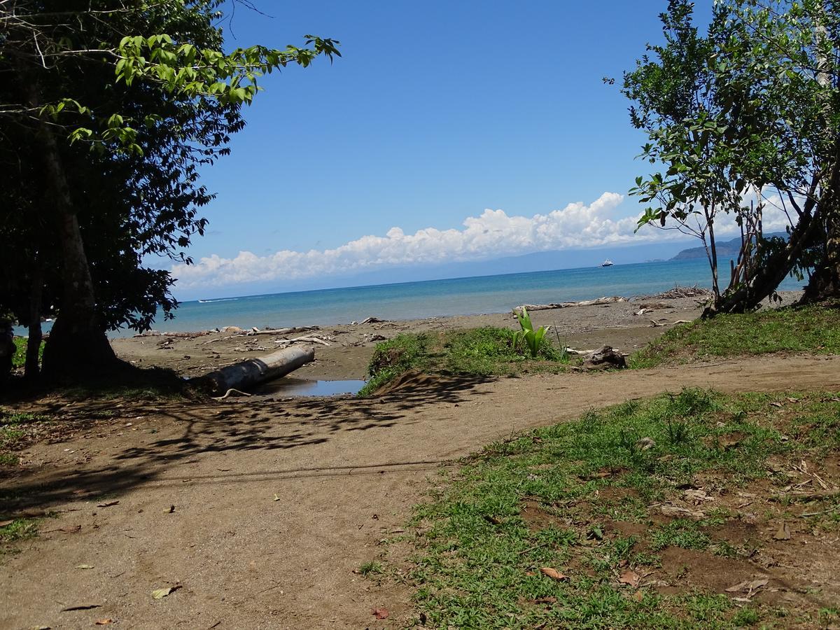 Drakes Bay Hostel Osa Tucan Drake المظهر الخارجي الصورة