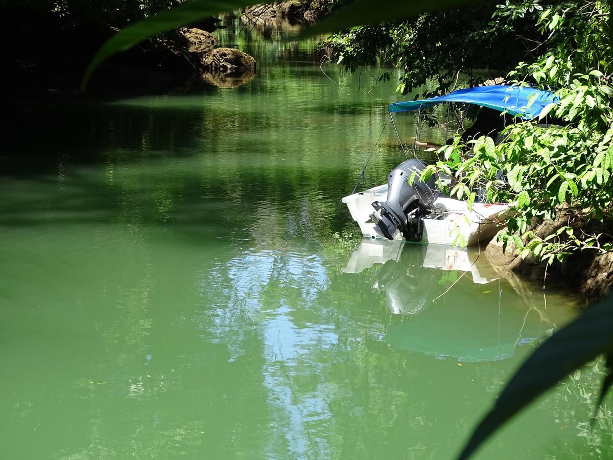 Drakes Bay Hostel Osa Tucan Drake المظهر الخارجي الصورة